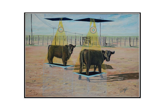 Rescate de la utimas Terneras Acrílico Lienzo Animales