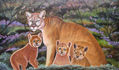 Familia de pumas.