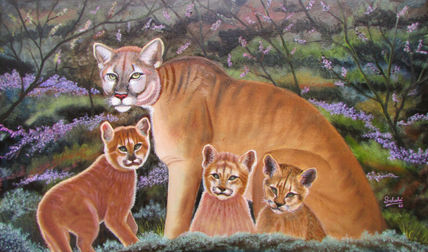 Familia de pumas.