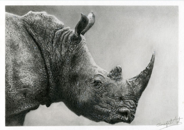 Rinoceronte Carboncillo
