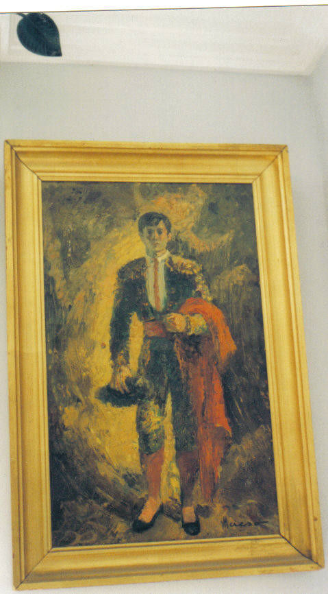 la sombra del toro