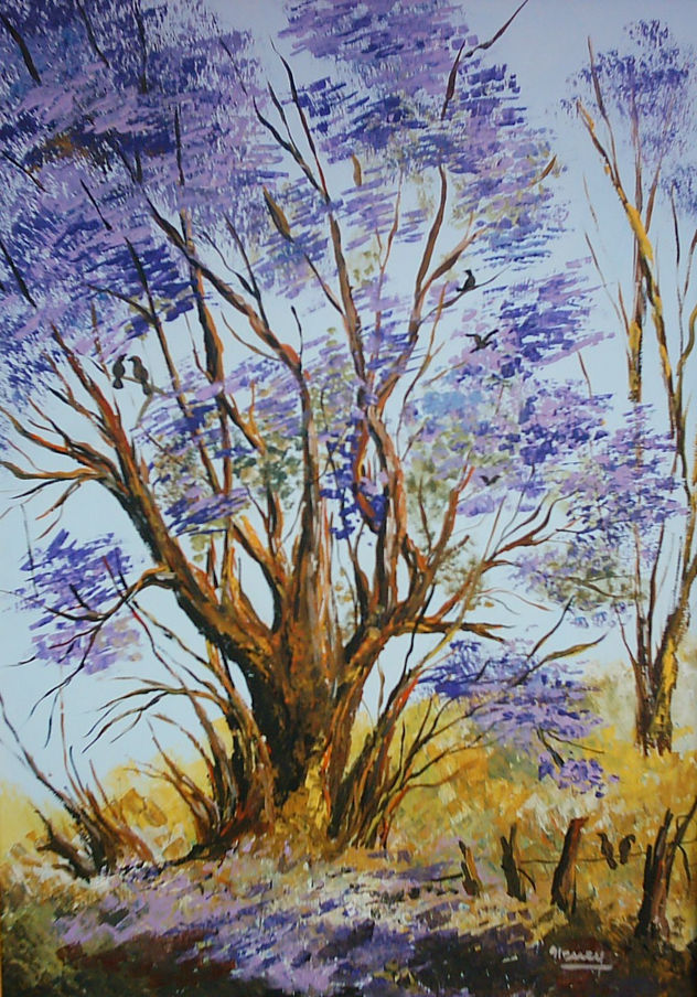 jacaranda