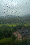 Lluvia Verde Panorámica