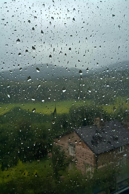 Lluvia Verde...