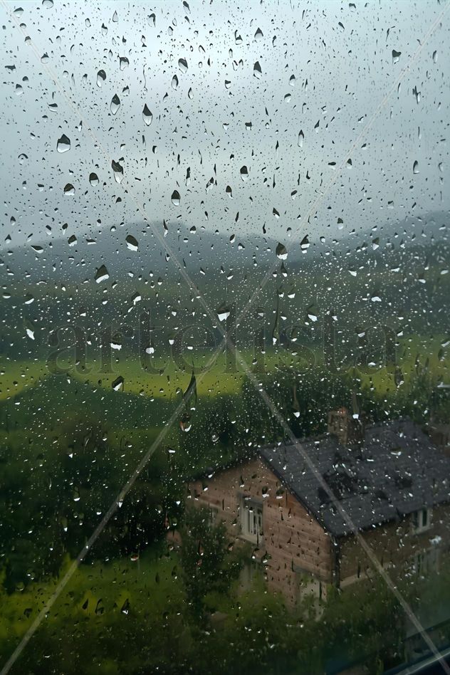Lluvia Verde Panorámica