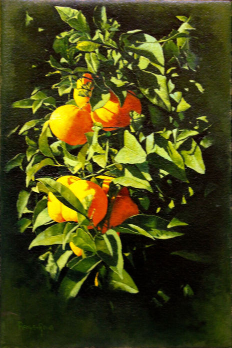 Naranjas en el...