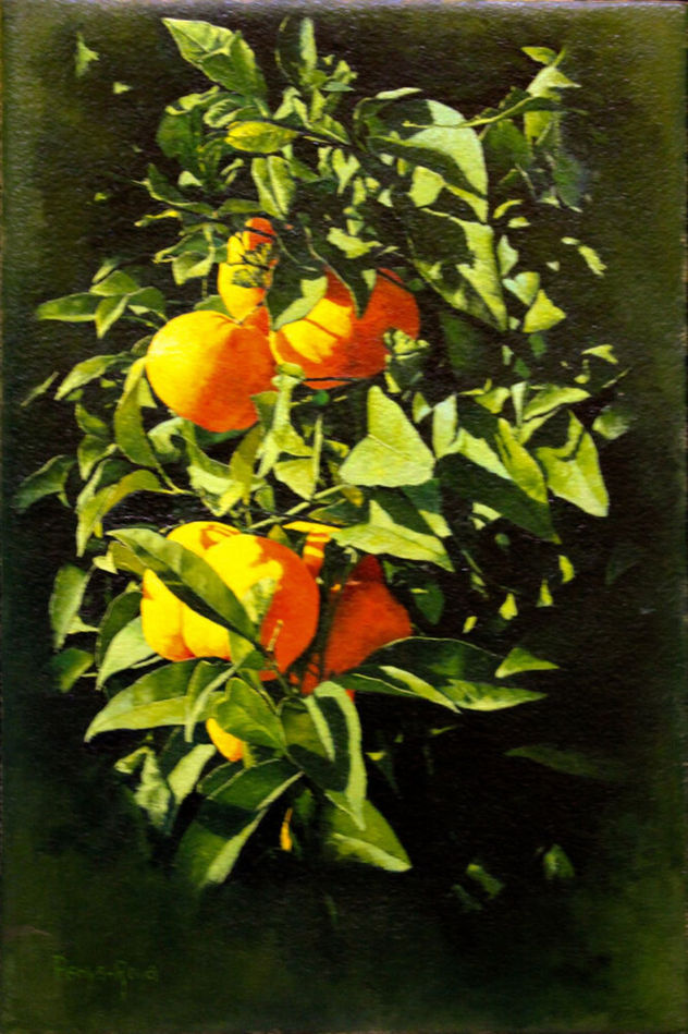 Oranges on the orange tree: Nature and Realism