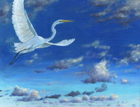 Vuelo de garza blanca