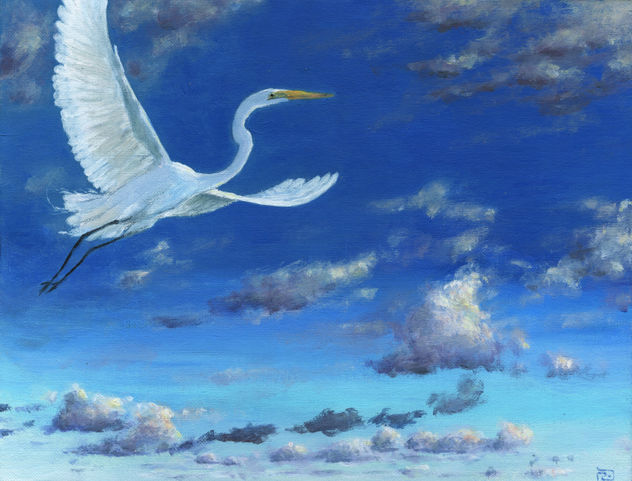 Vuelo de garza blanca