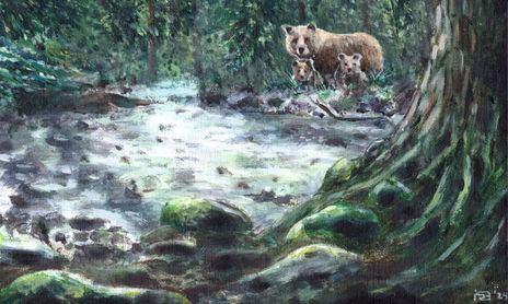Animales