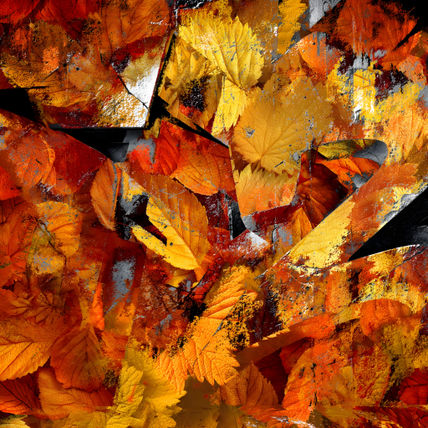 Autumn chaos 2