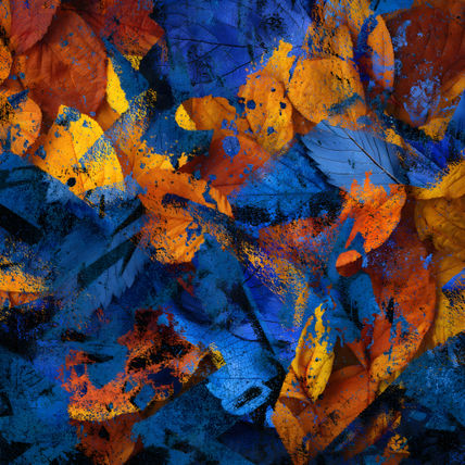 Autumn chaos 4