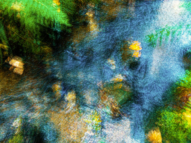 Riachuelo en Peñas de Haya Nature Color (Digital)