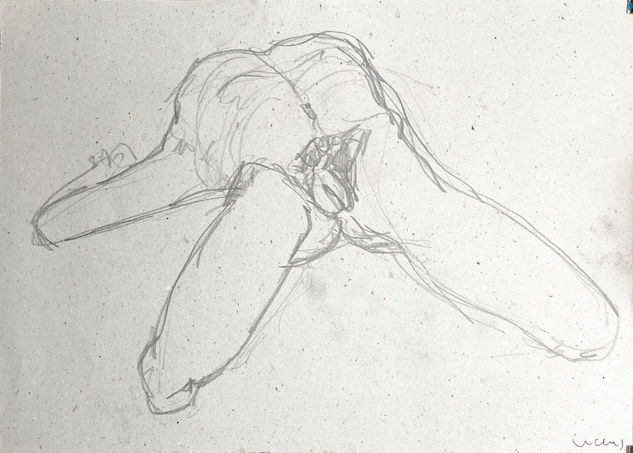 Escorç d'home nu Pencil