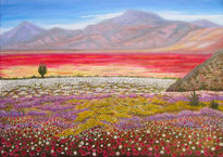 Desierto de Atacama...