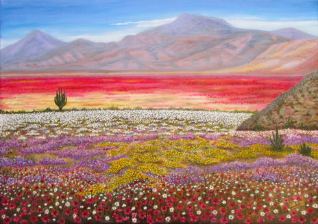 Desierto de Atacama...