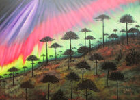 Aurora boreal en la...