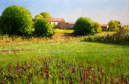 Paisaje de aragón