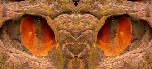 Mirada de roca Nature Color (Digital)