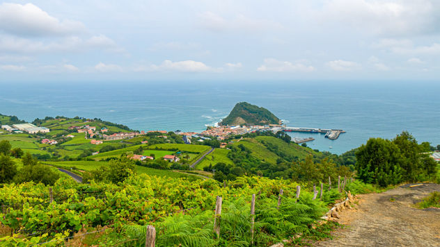 Getaria y viñedos de txakolí