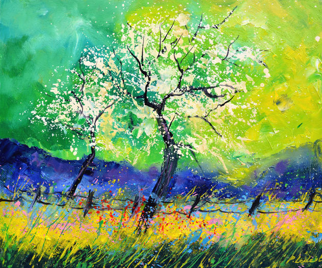 Appletrees in blossom -6523