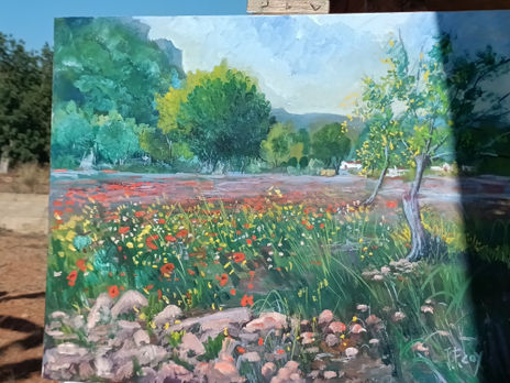 Campo de amapolas,...
