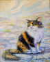 gatita