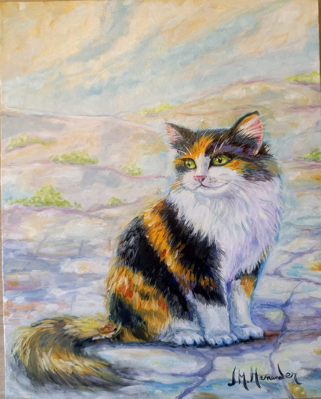 gatita