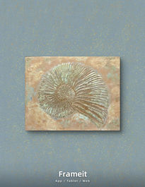 Nautilus fósil cobre