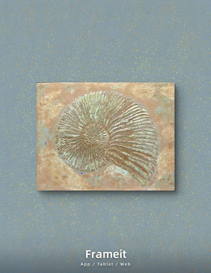 Nautilus fósil cobre