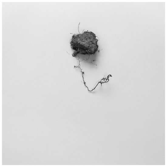 S/T Bodegones Blanco y Negro (Digital)