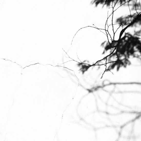 S/T Conceptual/Abstracto Blanco y Negro (Digital)