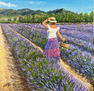 Paseo entre lavanda