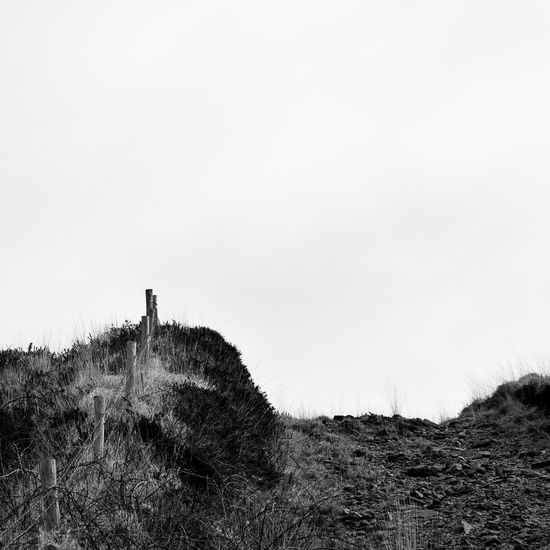 S/T Naturaleza Blanco y Negro (Digital)