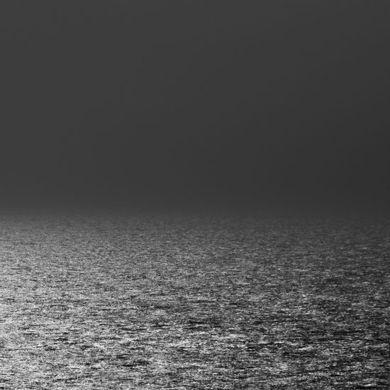 S/T Nature Black and White (Digital)