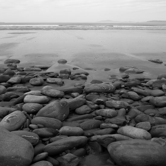 S/T Nature Black and White (Digital)