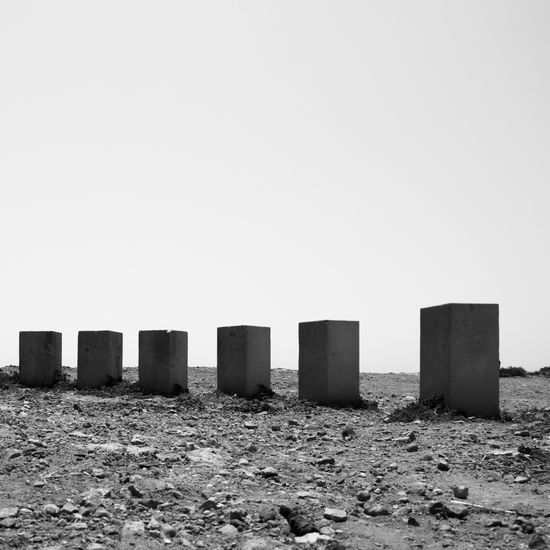 S/T Nature Black and White (Digital)