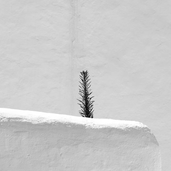 Santa Eulalia Architecture and Interiorism Black and White (Digital)