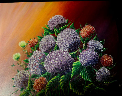 Flores de hortensia