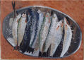 Sardinas