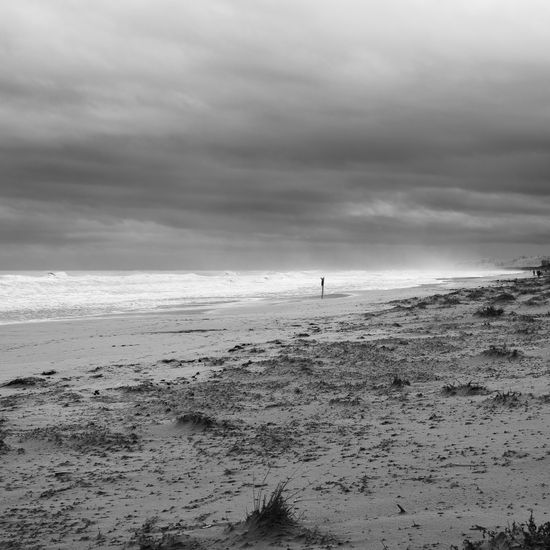 S/T Nature Black and White (Digital)