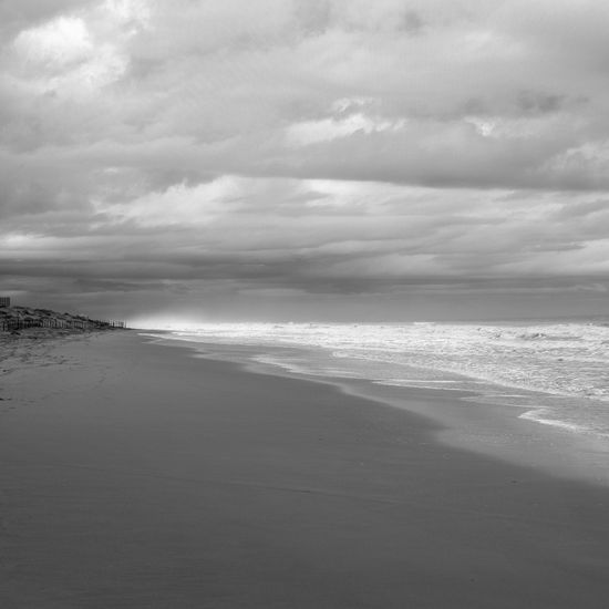 Marina Nature Black and White (Digital)