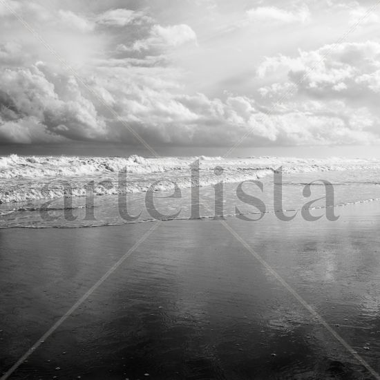 Marina Nature Black and White (Digital)