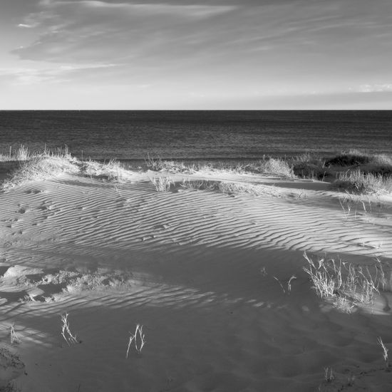 Marina Nature Black and White (Digital)