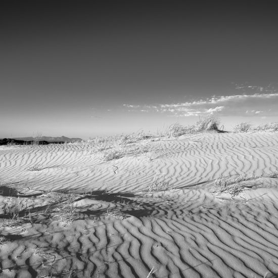 Marina Nature Black and White (Digital)