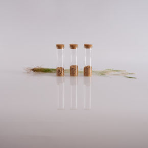 Desnaturalización...