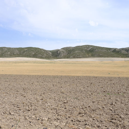 S/T Nature Color (Digital)