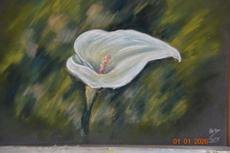 Una flor  cordobesa