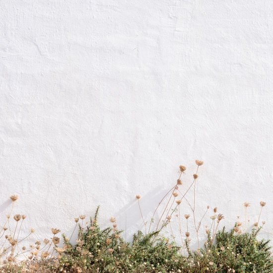 S/T Architecture and Interiorism Color (Digital)