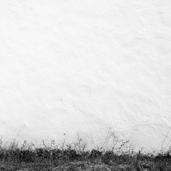 S/T Architecture and Interiorism Black and White (Digital)